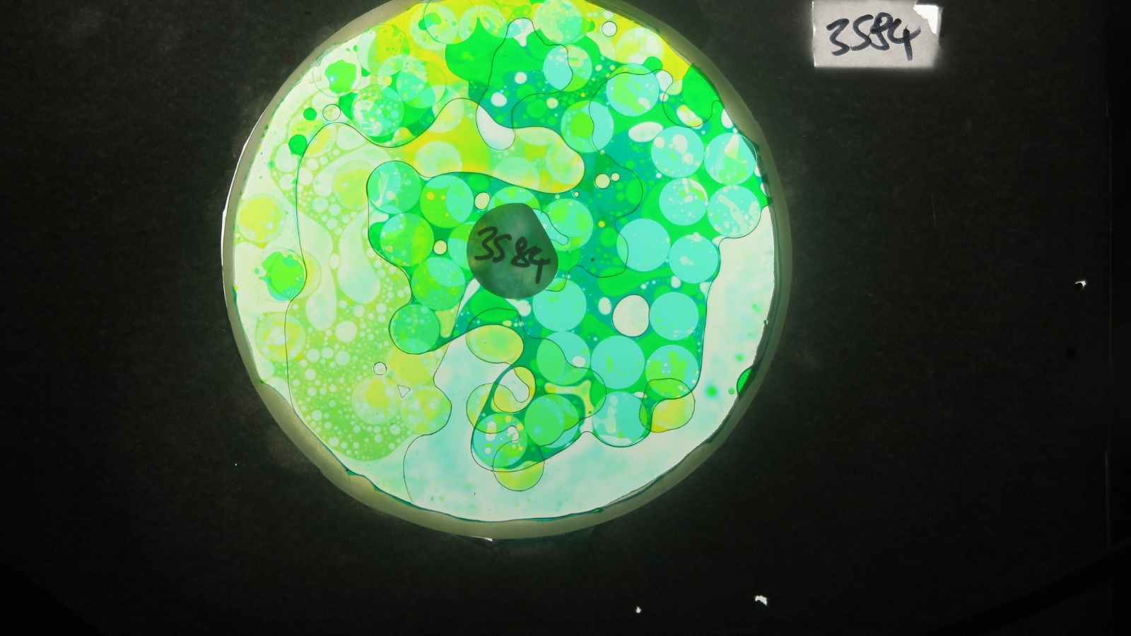 BV3584 bubble vision oil wheel